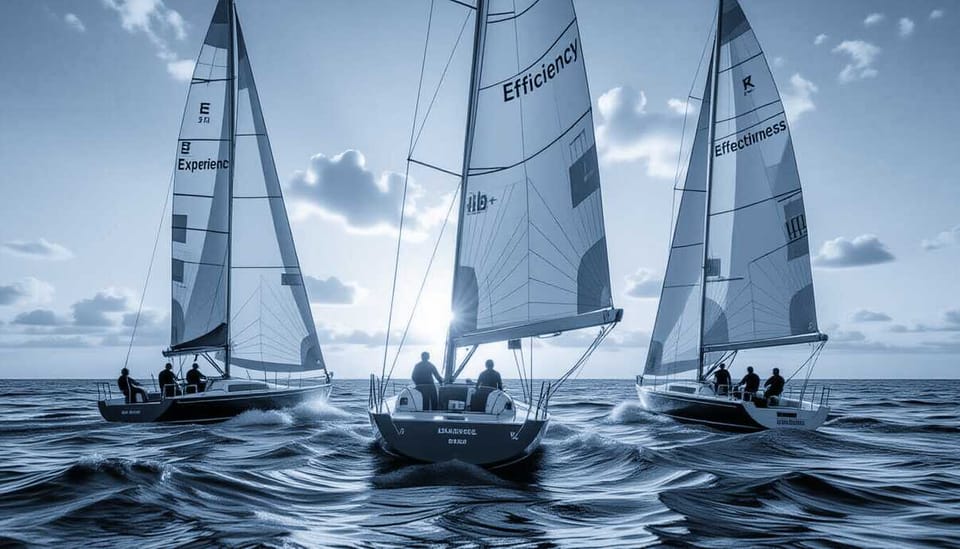 Experience, Efficiency and Effectiveness